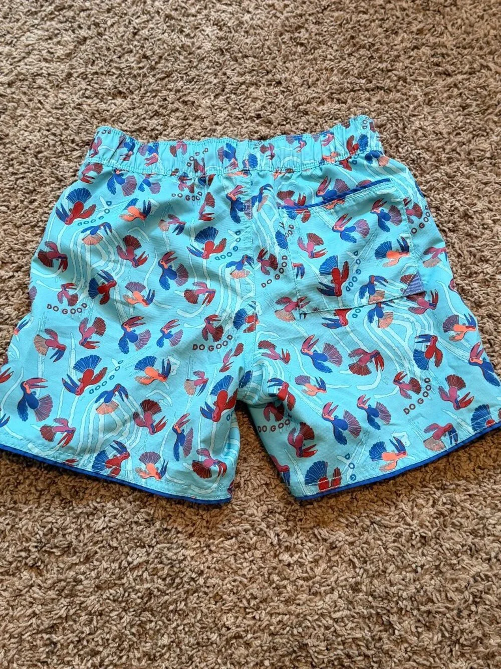Cotopaxi Boys Blue Cocodrilo River Swim Shorts Small
